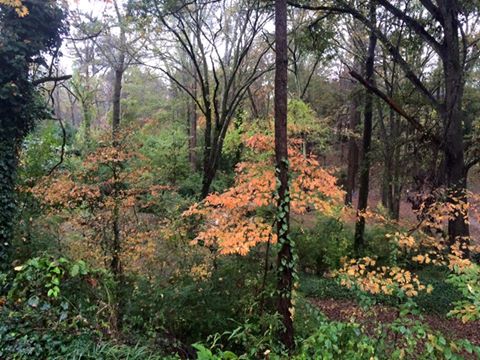 Beautiful Autumn Day
