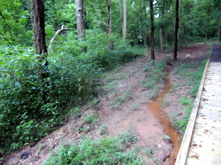 Damage to Dearborn Park after construction of path
