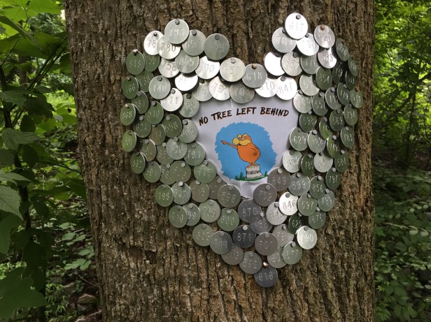 Dearborn Park nails in tree