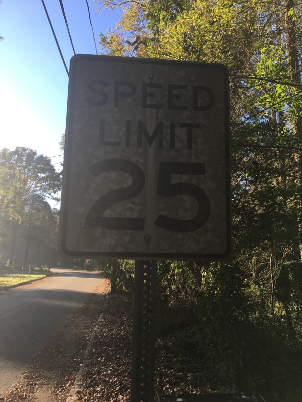 Speed sign dirty 1