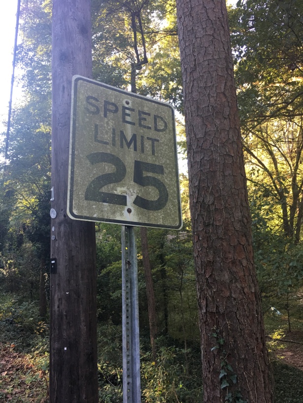 Speed sign dirty 2