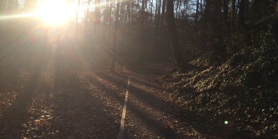 Dearborn Park near Blue Sky Condos and Shoal Creek