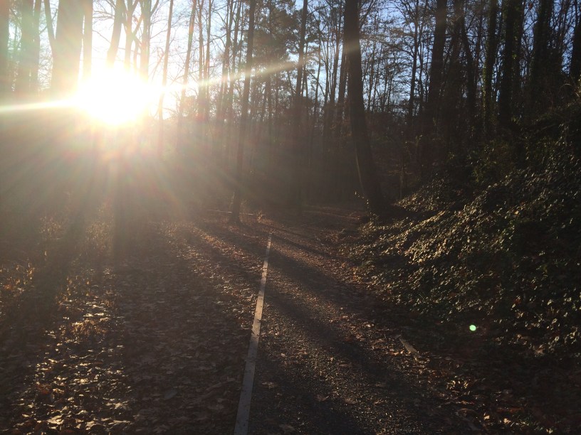 Dearborn Park near Blue Sky Condos and Shoal Creek
