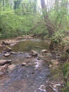 Dearborn Park near Blue Sky Condos