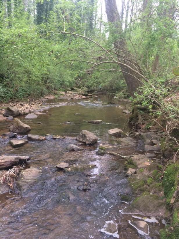 Dearborn Park near Blue Sky Condos