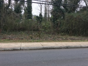 City of Decatur and The Path Foundation using pesticides