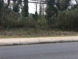 City of Decatur and The Path Foundation using pesticides