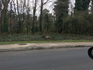 City of Decatur and The Path Foundation using pesticides