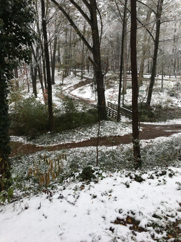 Snow day Dec 9 2017 Dearborn Park bridge 1