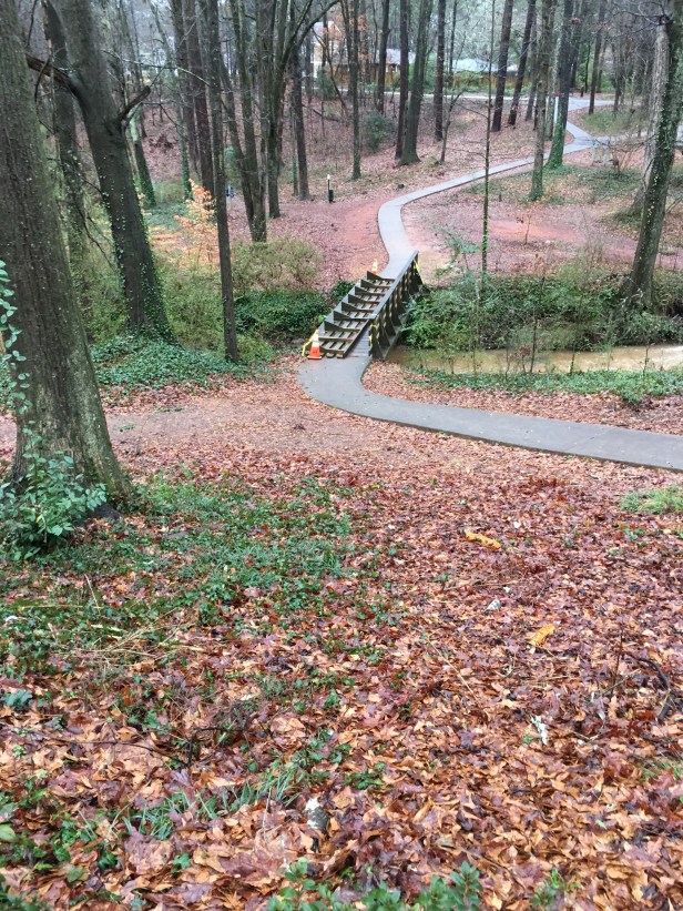 Dearborn Park DeKalb County Park & Rec Feb. 11, 2018 Bridge Down