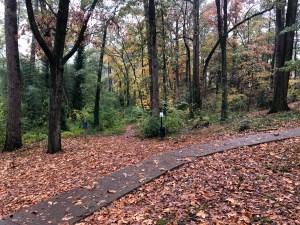 Autumn in Dearborn Park 1301 Deerwood Drive Decatur City of Decatur Park DeKalb County Parks & Rec Friends of Dearborn Park