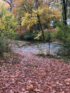 Dearborn Park Friends of Dearborn Park Shoal Creek