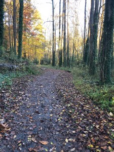 Autumn in Dearborn Park 1301 Deerwood Drive Decatur City of Decatur Park DeKalb County Parks & Rec Friends of Dearborn Park