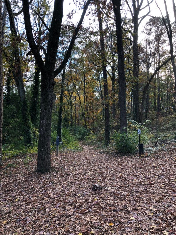 Autumn in Dearborn Park 1301 Deerwood Drive Decatur City of Decatur Park DeKalb County Parks & Rec Friends of Dearborn Park Trees