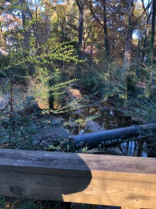 Midway Rd Dearborn Park Future Trail Path Foundation City of Decatur Connectivity and Implementation Plan