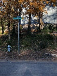 Friends of Dearborn Park Midway Rd Dearborn Park Future Trail Path Foundation City of Decatur Connectivity and Implementation Plan