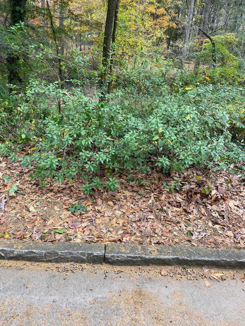 Dearborn Park Decatur Friends of Dearborn Park