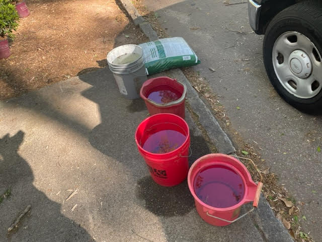 Dearborn Park Azalea Planting April 2, 2023 DeKalb Parks, Decatur