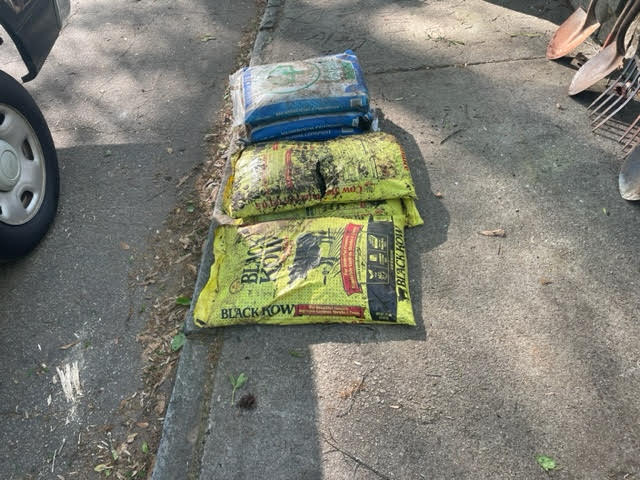 Dearborn Park Azalea Planting April 2, 2023 DeKalb Parks, Decatur