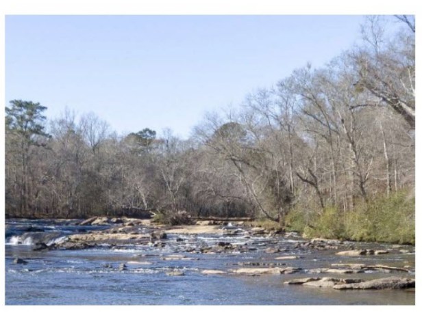 DeKalb County Shoal Creek Trunk Sewer Improvement Project
